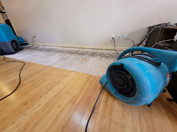 Professional Basement Flood Cleanup technician working in Jackson, NH